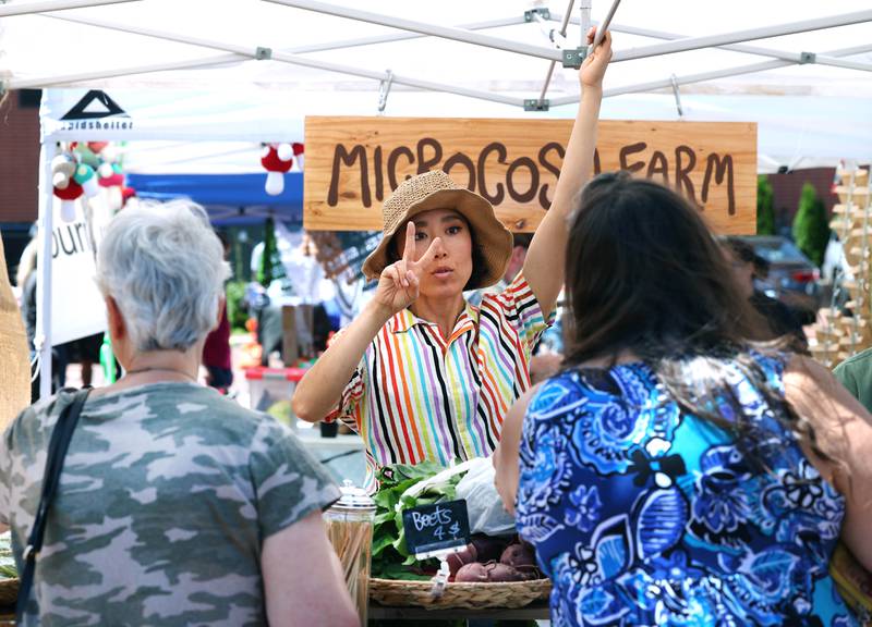 Yui Alde, from Microcosm Farm talks to customers at her booth while she holds the tent in place due to the wind during opening day of the DeKalb Farmers Market Thursday, June 6, 2024, at Van Buer Plaza in Downtown DeKalb. The market will run from 10 a.m. to 2 p.m. Thursdays through Sept. 19.