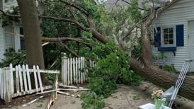 Storms in Geneva take down 60-100 trees, power lines knocked out