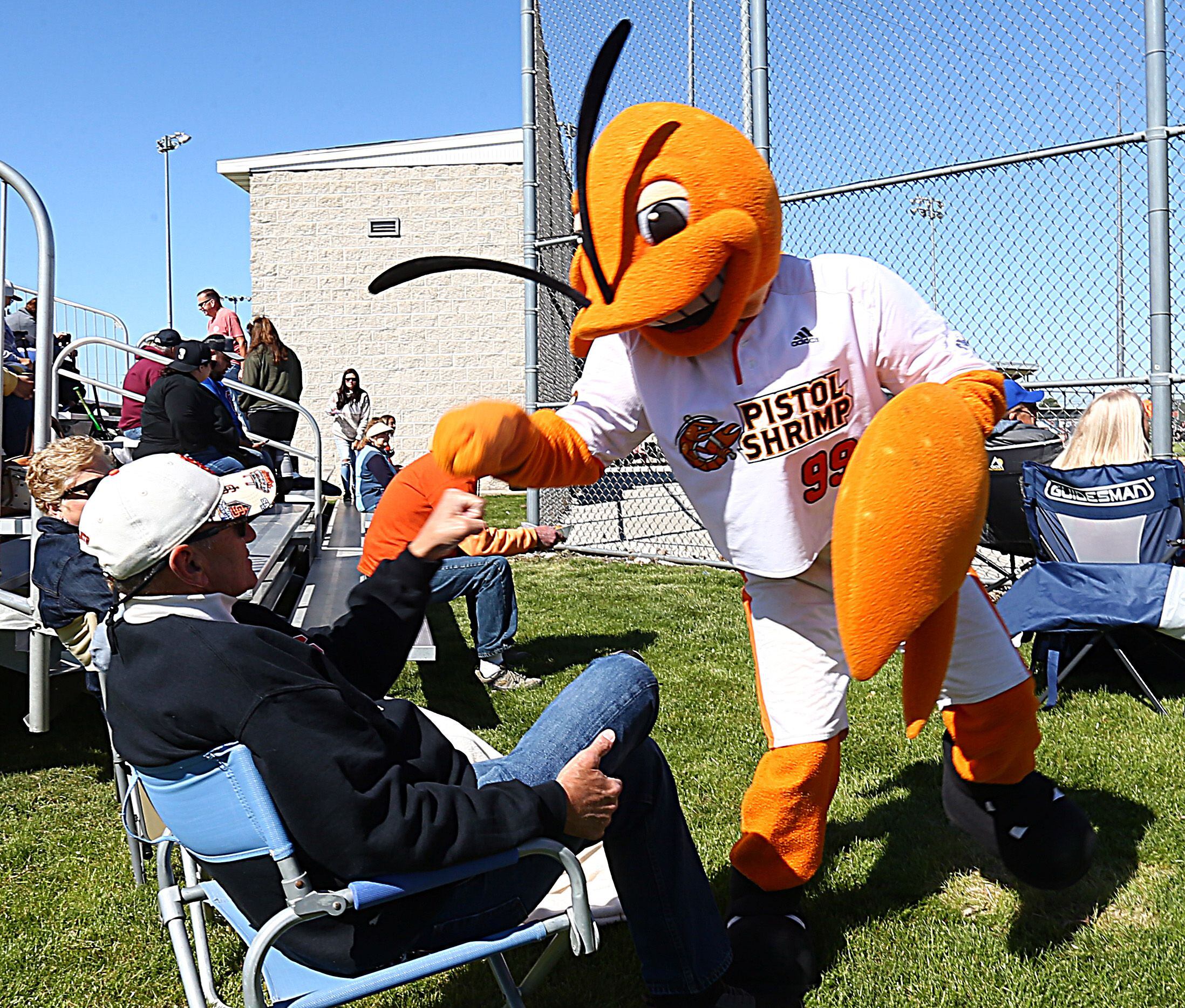 Illinois Valley Pistol Shrimp mascot South Claw Sam will celebrate his fifth birthday during the Pioneer League's home opener at 7:05 p.m. Friday, June 2, at Schweickert Stadium at Veterans Park in Peru.