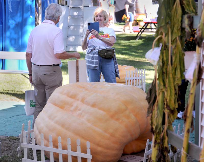 Diane Zink of Chicago takes a picture of her husband Michael in front of a giant pumpkin during the Sandwich Fair on Saturday, Sept. 9, 2023.