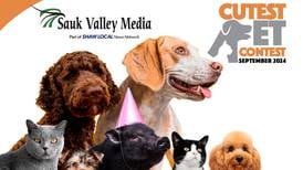 Sauk Valley September Cutest Pet Contest