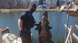 McHenry County deputy retrieves alligator prop from Fox River after homeowner thought it was real