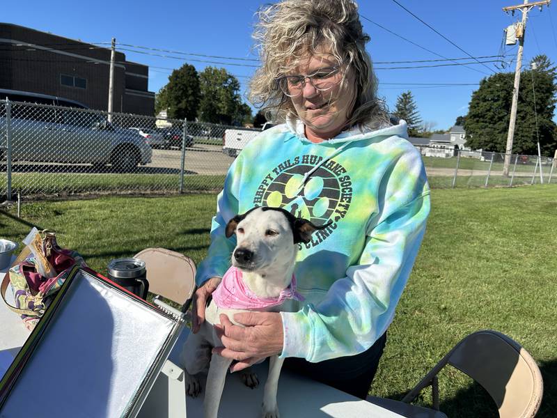 Michelle Longtin, director of Happy Tails Humane Society in Rock Falls, brought Ashley, to Polo High School's 2024 Doggy Dash on Saturday, Sept. 7, 2024. Ashley, a rat terrier, is available for adoption. Contact Longtin at 815-626-2994 for more information.