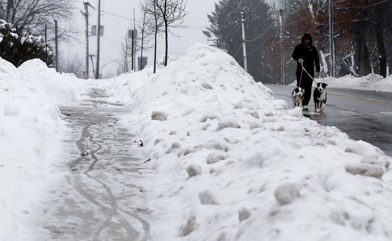 A man walks his dogs on Green Street in McHenry to avoid the icy sidewalk on Tuesday, Jan. 23, 2023. Residents throughout northern Illinois woke up to icy and slippery roads.