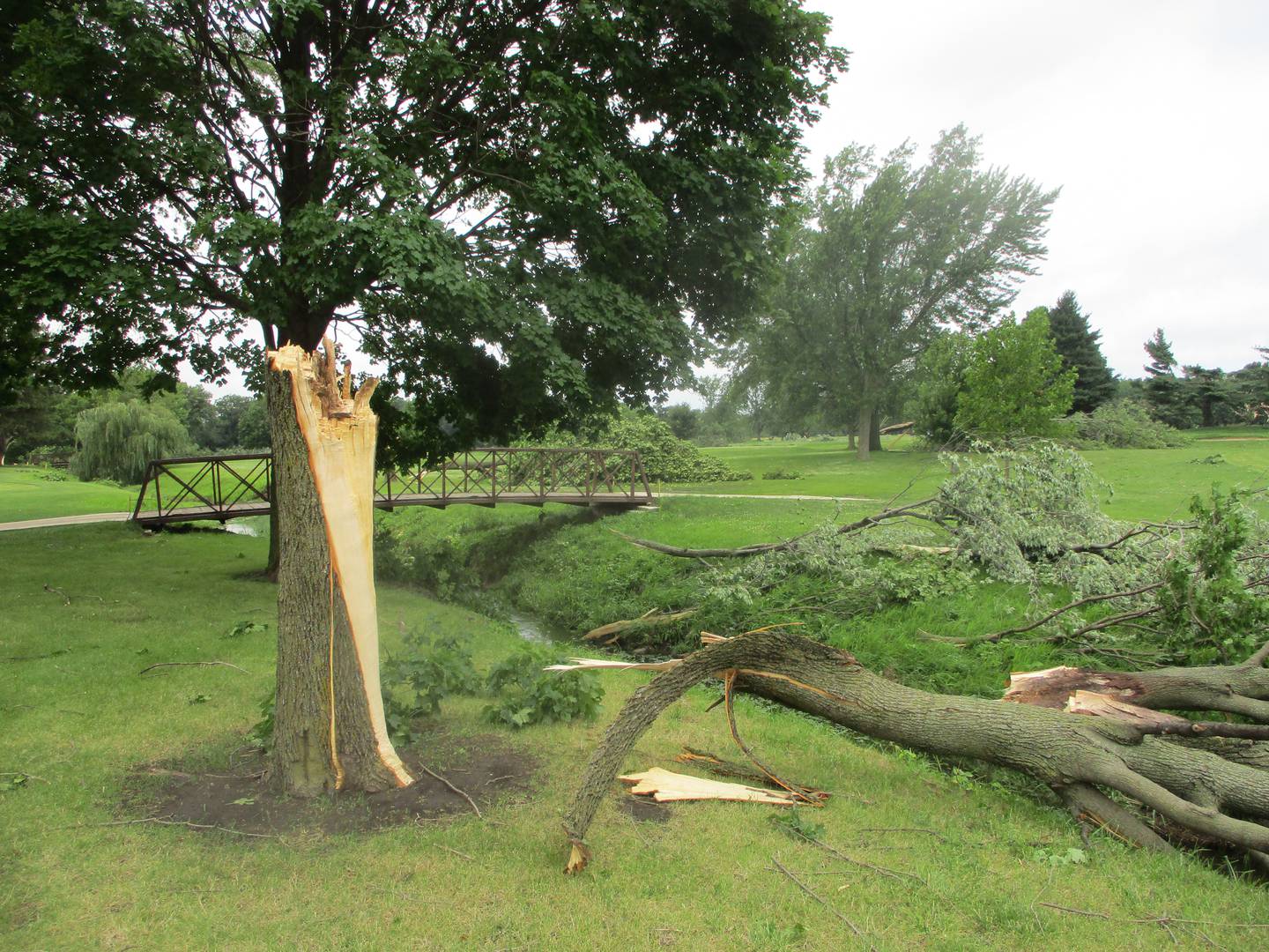 A large number of trees and tree limbs were blown down at the Inwood Golf Course in Joliet during the Monday night storm. July 16, 2024