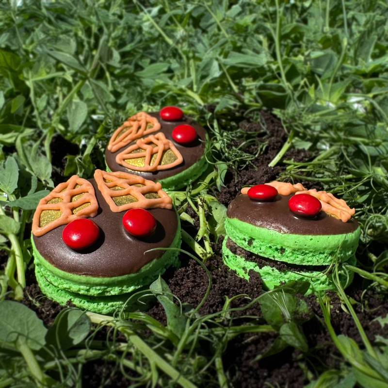 Mama Bear Macarons will be offering cicada-themed cookies starting June 2.