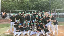 Baseball: Explosive fourth inning propels Providence Catholic to sectional championship over Lincoln-Way West