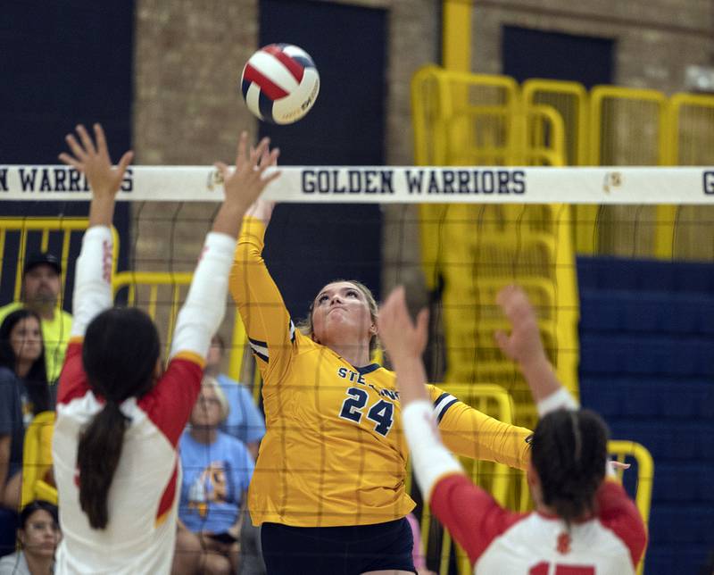 Sterling’s Carley Sullivan goes up for a spike against Rock Island Tuesday, Sept. 17, 2024.