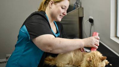 A feline first. Happy Cat Grooming opens doors in Westmont 