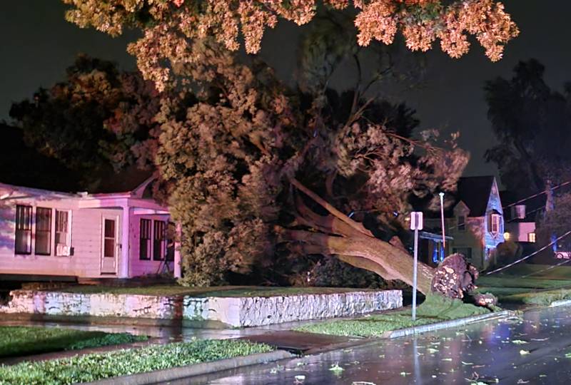 A tree in the yard at 700 Guthrie Street in Ottawa was blown over during the thunderstorms that passed through the Illinois Valley on Monday night.