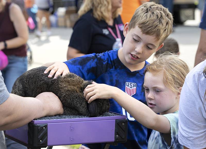 Jackson, 8, and Jordan Flood, 6, pet a rabbit Friday, July 5, 2024 during a family fun event for Petunia Fest. The event, held in the First Presbyterian Church parking lot, was jammed with families playing games and enjoying the pleasant evening weather.