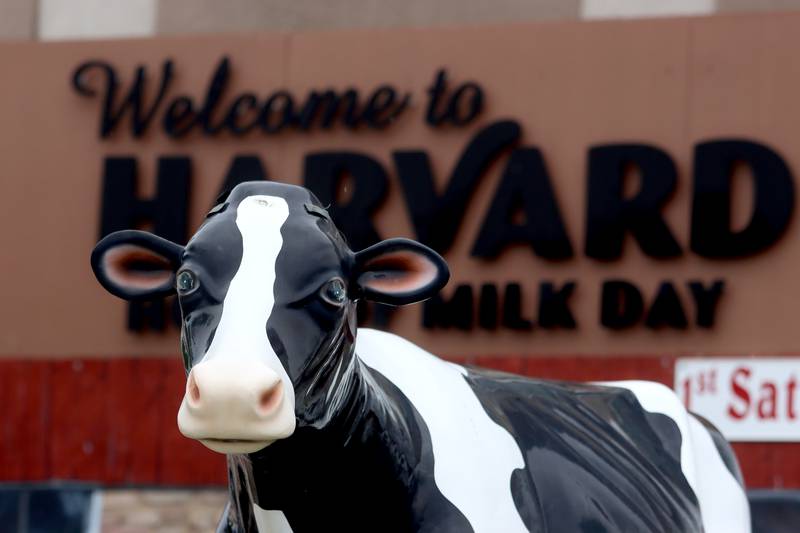 Harmilda oversees the Harvard Milk Days parade Saturday, June 4, 2022, in Harvard.