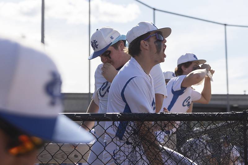 The Newman bench cheers as the Comets hang 4 runs in the 4th inning against Chicago Hope Monday, May 27, 2024 during the Class 2A super-sectional in Rockford.