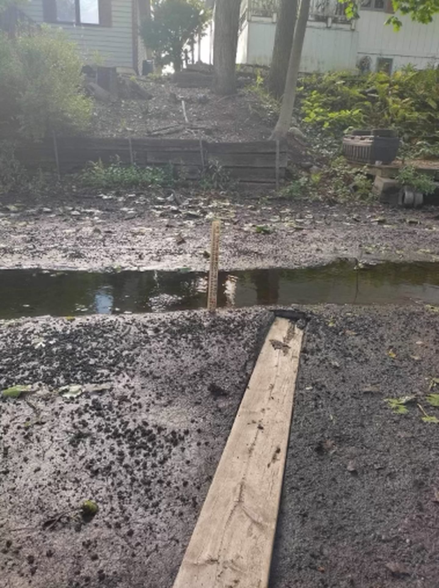 Crystal Lake resident Sheree Lavelle measures how thick the muck can get at the channel that leads into Crystal Lake.