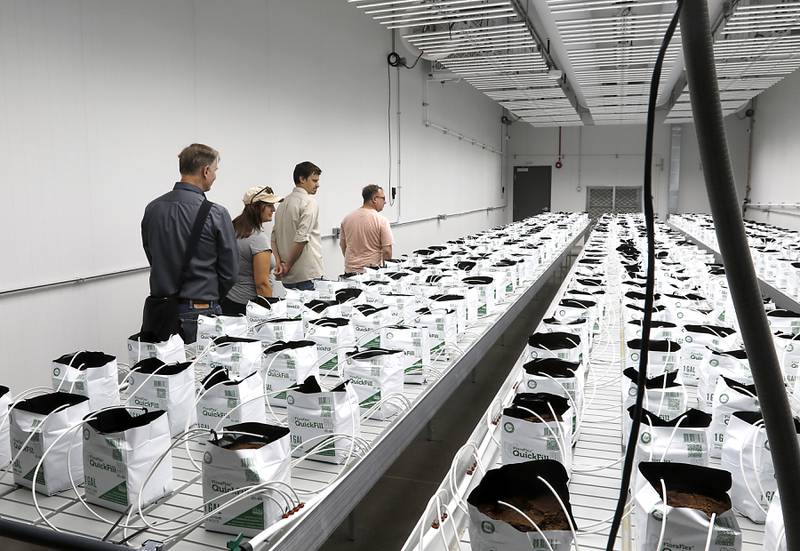 People tour a growing room inside Oregonix Farms' new craft grow facility in Huntley on Friday, July 14, 2023.