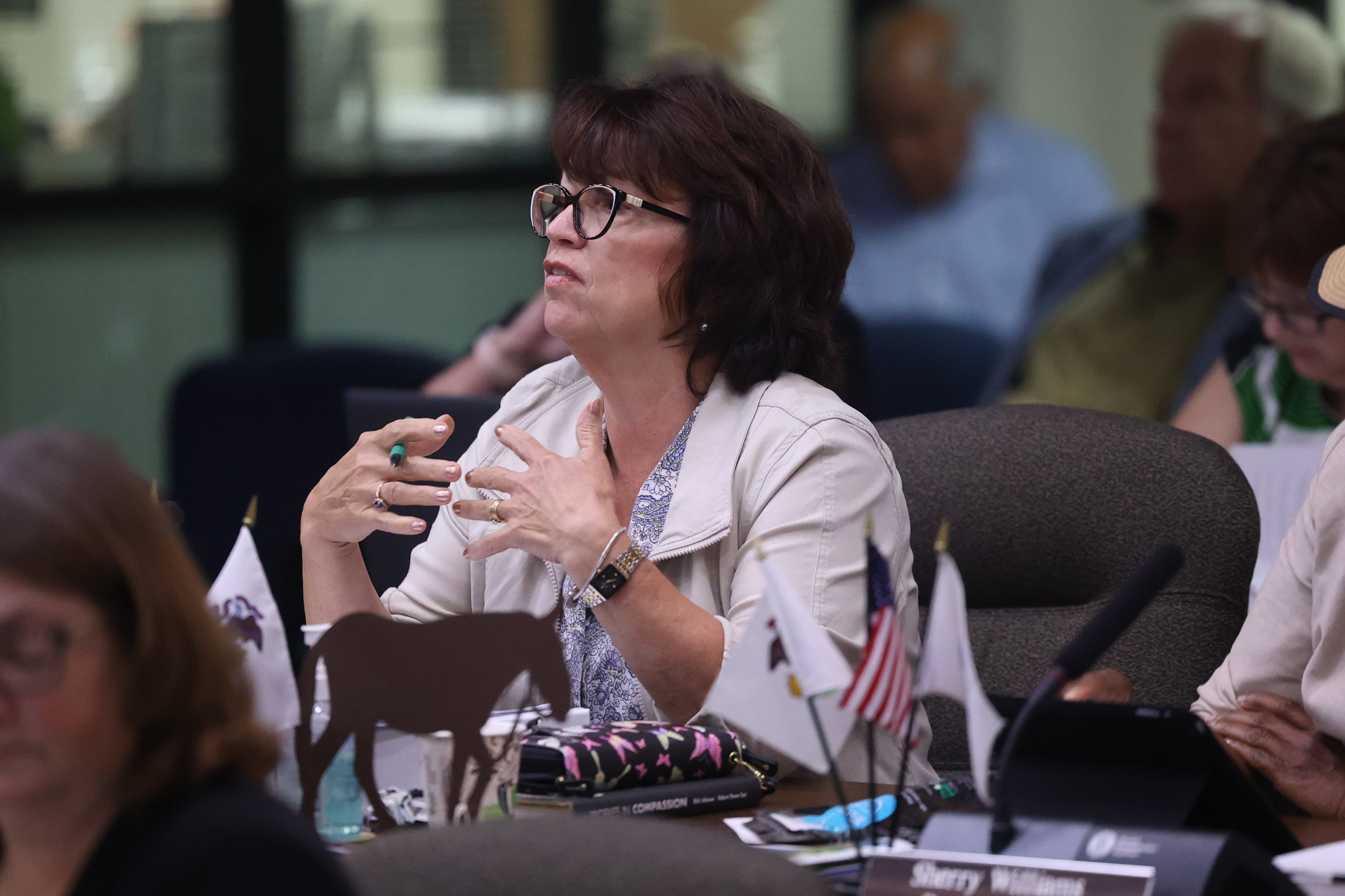 Will County board member Jackie Traynere speaks at the Will County board meeting on Thursday, Aug. 17, 2023 in Joliet.