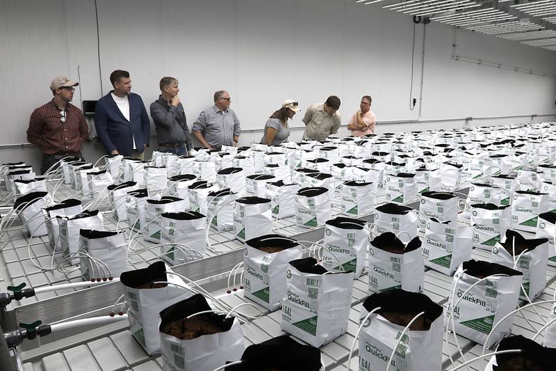People tour a growing room inside Oregonix Farms' new craft grow facility in Huntley on Friday, July 14, 2023.