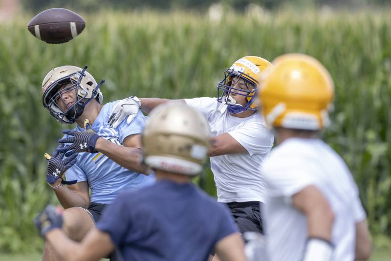 Marquette's Blayden Cassell tries to pull down a bobbled pass against Mendota High School during a multiple high school practice football meet at Princeton High School on July 20, 2024.