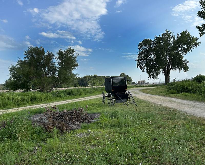 An Amish buggy sits along one of the access roads at Lock & Dam 13, north of Fulton, after transporting family members to the Mississippi River to fish on Saturday, June 22,. 2024. The buggy's horse was tied out in a nearby wooded area.