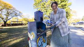 Photos: United Way Little Library project