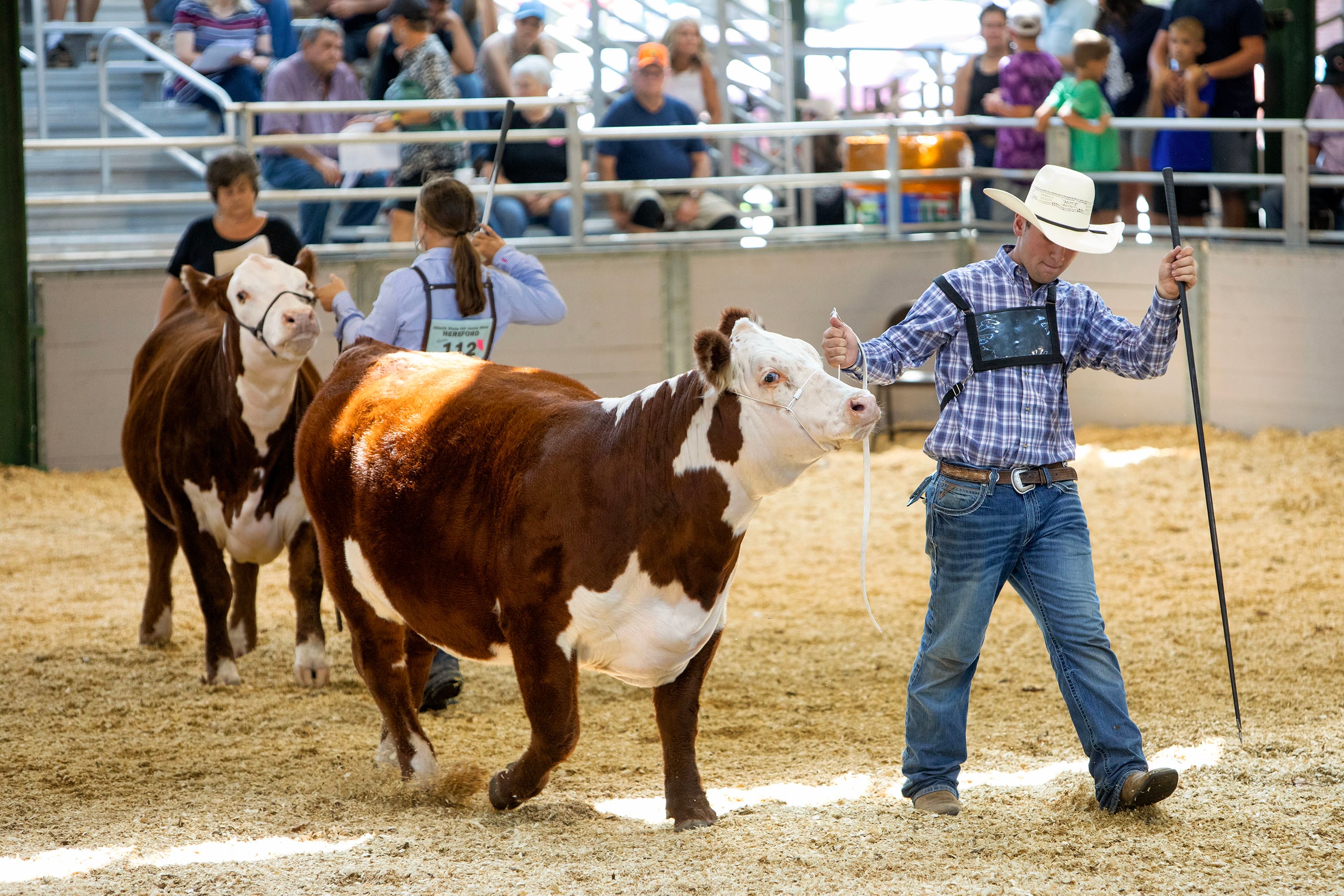 The state’s best youth livestock exhibitors compete during the 2023 Illinois State Fair Master Showmanship contest. The exhibitors each represented their counties and vied to be named grand champion.