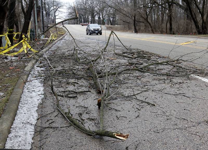 A car drives past a tree branch in the turn lane on Three Oaks Road near Olde Post Road in Crystal Lake on Thursday, Feb. 23, 2023, as county residents recover from a winter storm that knocked down trees and created power outages throughout McHenry County.