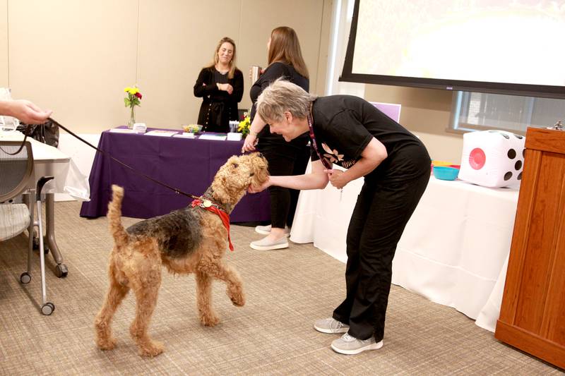 Storm, a therapy dog, visits with Kathy Czyzewski during Wellness Wednesday as part of Nurses Week at Northwestern Medicine Delnor Hospital on Wednesday, May 8, 2024 in Geneva.
