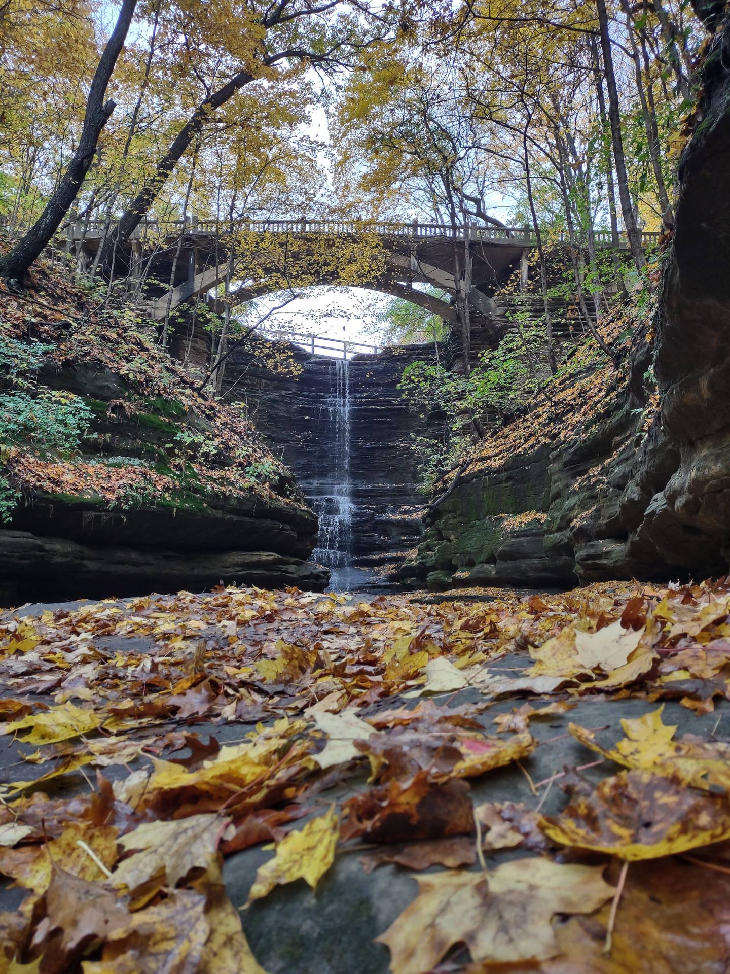 Lake Falls is one of the most popular destinations at Matthiessen State Park.
