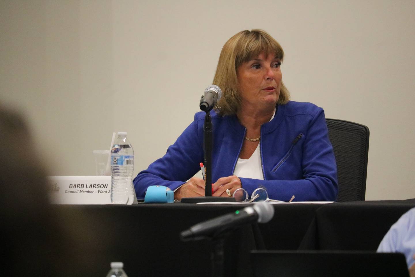Second Ward Alderwoman Barb Larson gives comments at the Monday, Sept. 26 meeting of the DeKalb City Council.