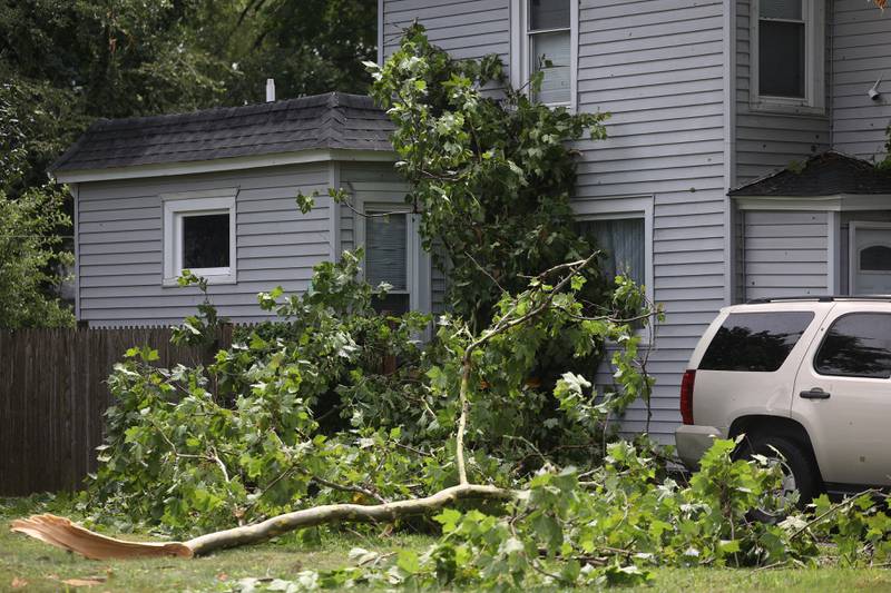 A section of a tree busted out a window of a home along Richards Street after a storm blew through Joliet Sunday morning, July 14, 2024.