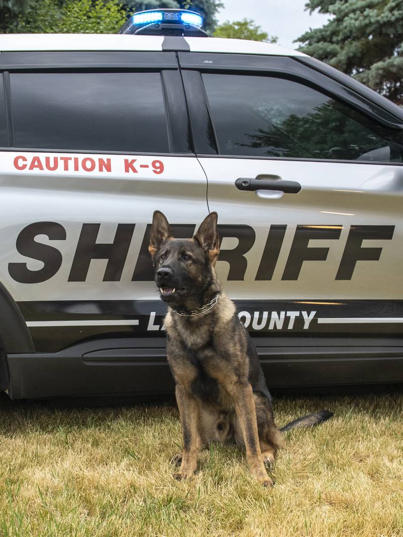 K-9 Loki located an injured missing endangered woman in unincorporated Lake Villa.