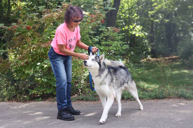 Linda Gondek stands with Mr. J, a 1-year old Siberian Husky, on Thursday, Sept. 14, in Lockport.