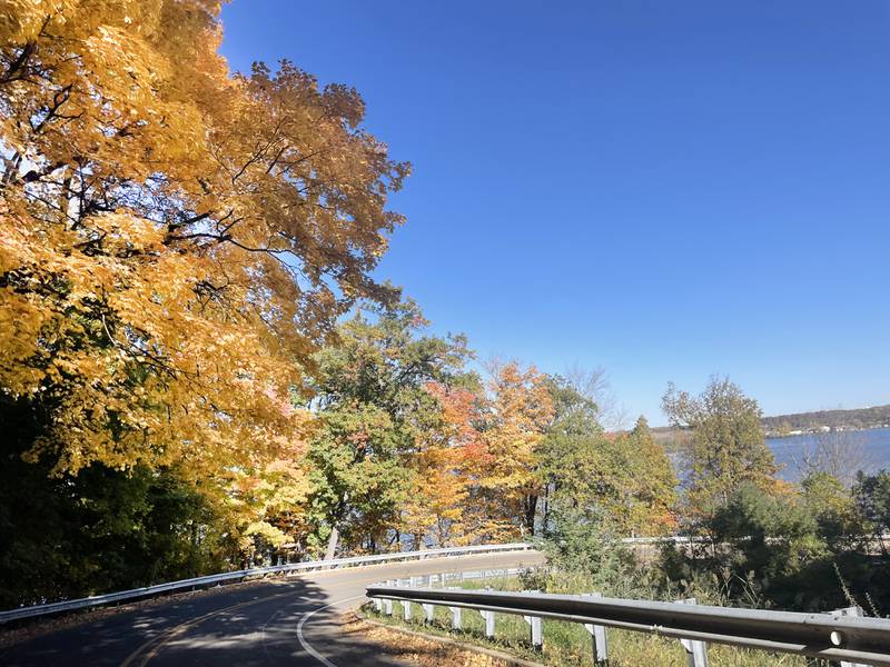 Leaves are at near peak along Illinois Route 71 at Starved Rock State Park on Wednesday, Oct. 19, 2022 in Utica.