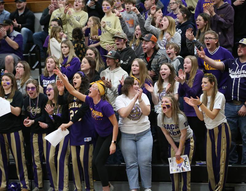 Serena superfans cheer on the Huskers as they play Chicago Ellison during the Class 1A Sectional semifinal on Tuesday, Feb. 28, 2023 at Putnam County High School.
