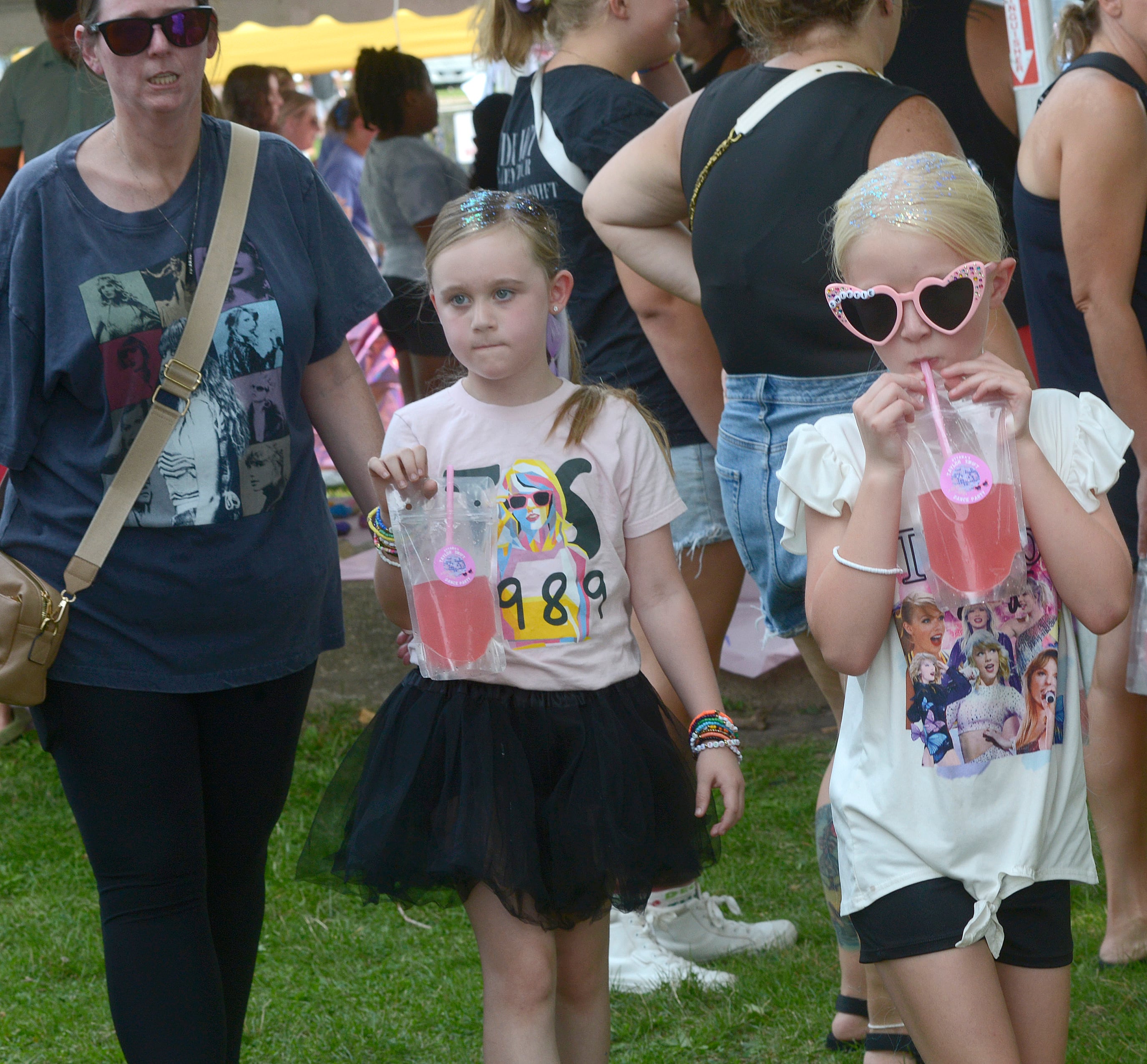 Large crowds enjoyed a variety of food and craft booths Sunday during the Taylor Swift Dance Party in Ottawa. The event was part of Friendship Days.