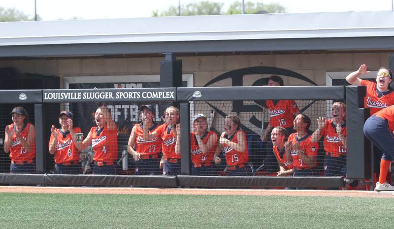 Members of the Oak Park-River Forest softball team cheer from the dugout during the Class 4A State semifinal softball game on Friday, June 9, 2023 at the Louisville Slugger Sports Complex in Peoria.