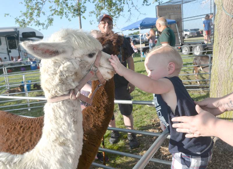 Photos Lee County Fair, loaded with family fun Shaw Local