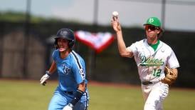 Photos: York vs. Lake Park in Class 4A baseball sectional semifinal