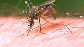 Will County warns of mosquitoes carrying West Nile