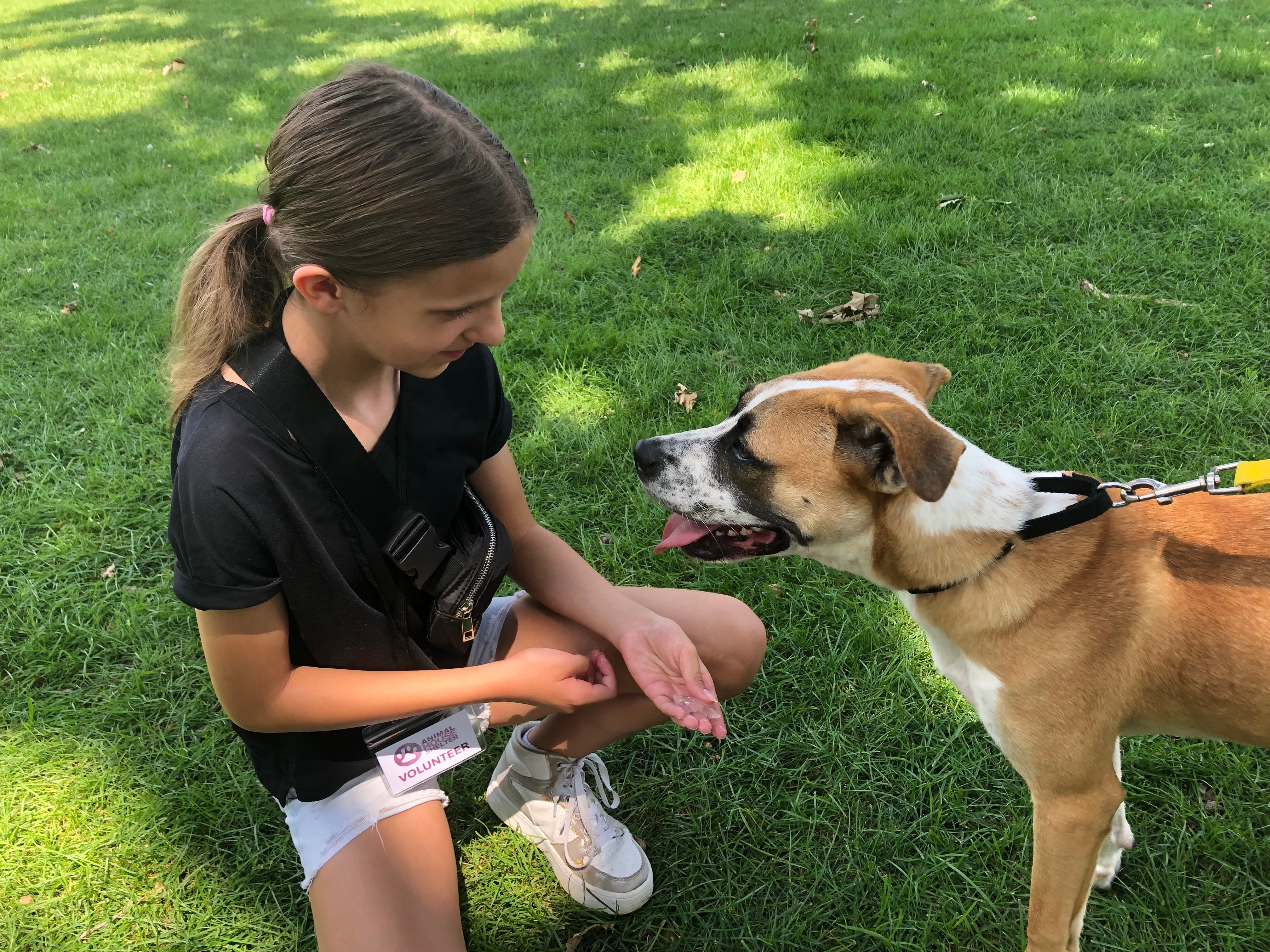 Piper Moore gives a dog ice at Pawfest Aug. 3, 2024.