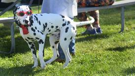 5 Things to Do: Oktoberfests for humans, and dogs in the Illinois Valley