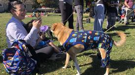 Dogs show off their Halloween costumes at Richmond-area pet sanctuary