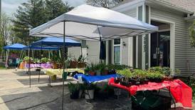 Tree of Life to hold rummage and plant sale June 1