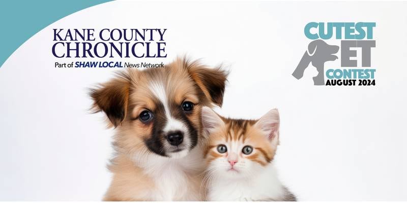 KCC Aug pet promo