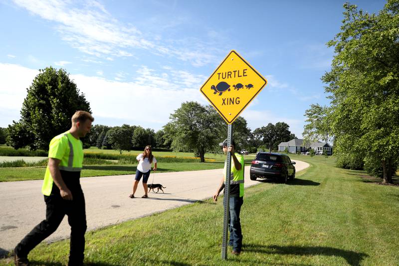 Ryan Schramer (right) and Austin Thomas of the Campton Township Highway Department intall a Turtle Crossing Sign on East Sunset Views Drive in Lily Lake on Monday, July 8. 2024 as Abby Drommerhausen looks on. Turtle Crossing signs were installed after neighborhood families came together to fund the project in an effort to protect their neighborhood turtles from vehicle traffic.