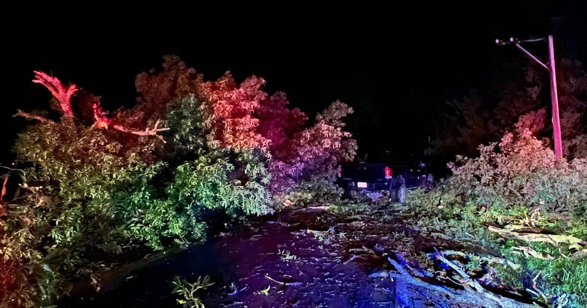 Storms cause damage in the Illinois Valley