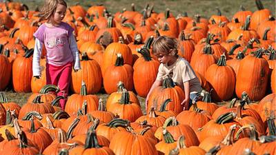 Here’s a map of pumpkin farms in northern Illinois for fall fun