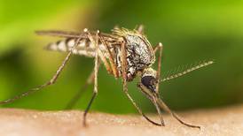 Oswego begins mosquito abatement spraying on Monday