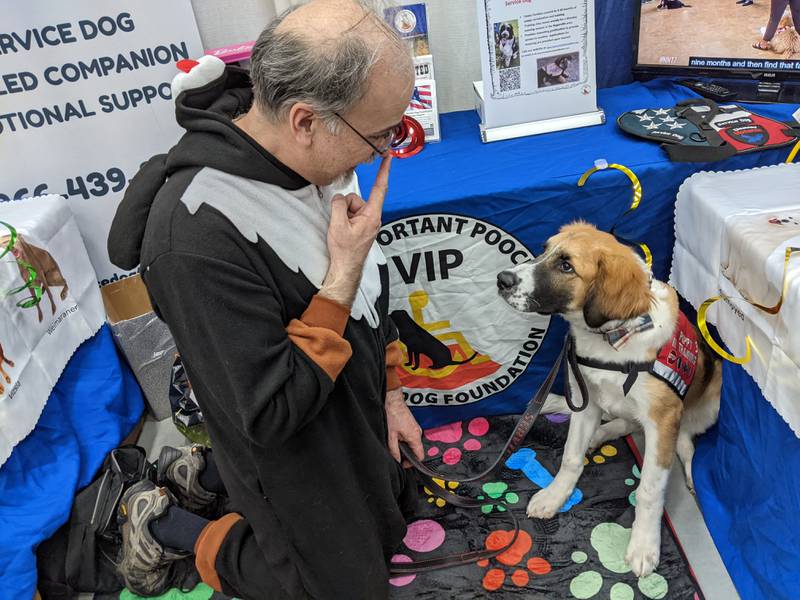 Those attending the Oswego Hometown Expo at Oswego High School on Feb. 24 had the chance to meet Blair Peters of VIP Service Dog Foundation along with six-month-old Ripley, who is in training to become a service dog.