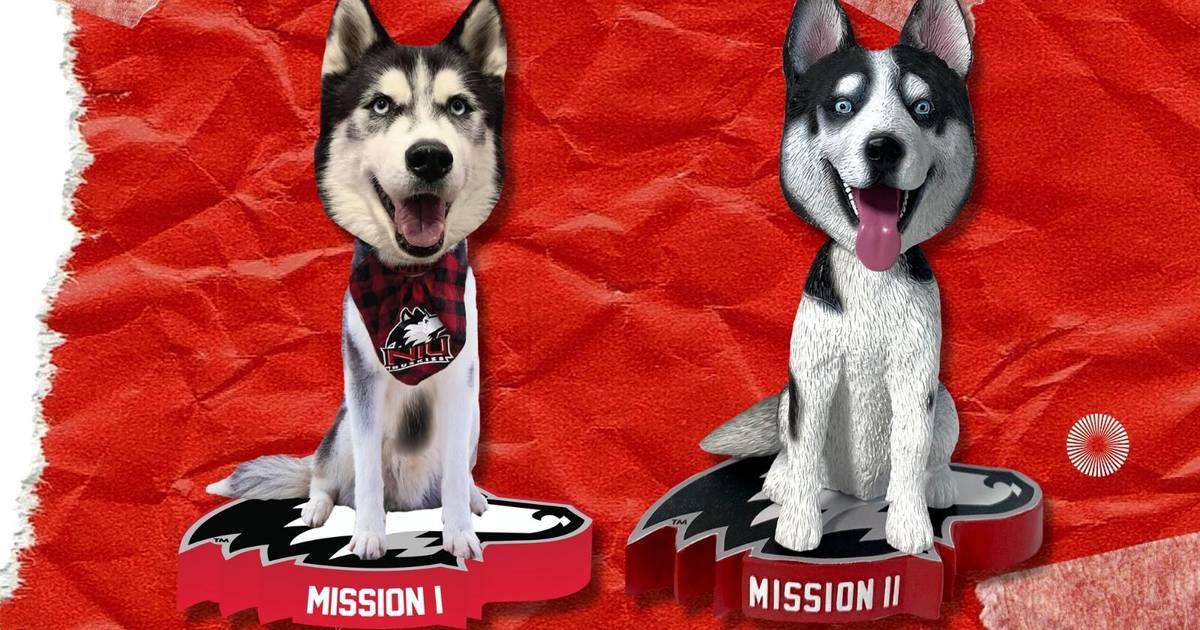 All Star Dogs: Northern Illinois University Huskies Pet apparel and  accessories